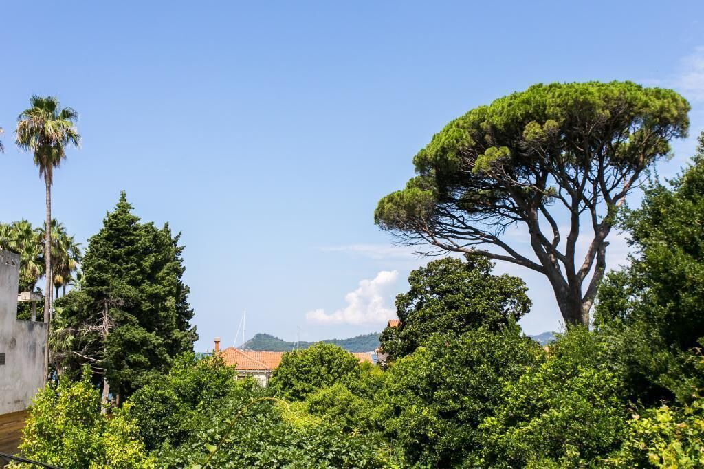 Photo of Outdoor in Lopud Island
