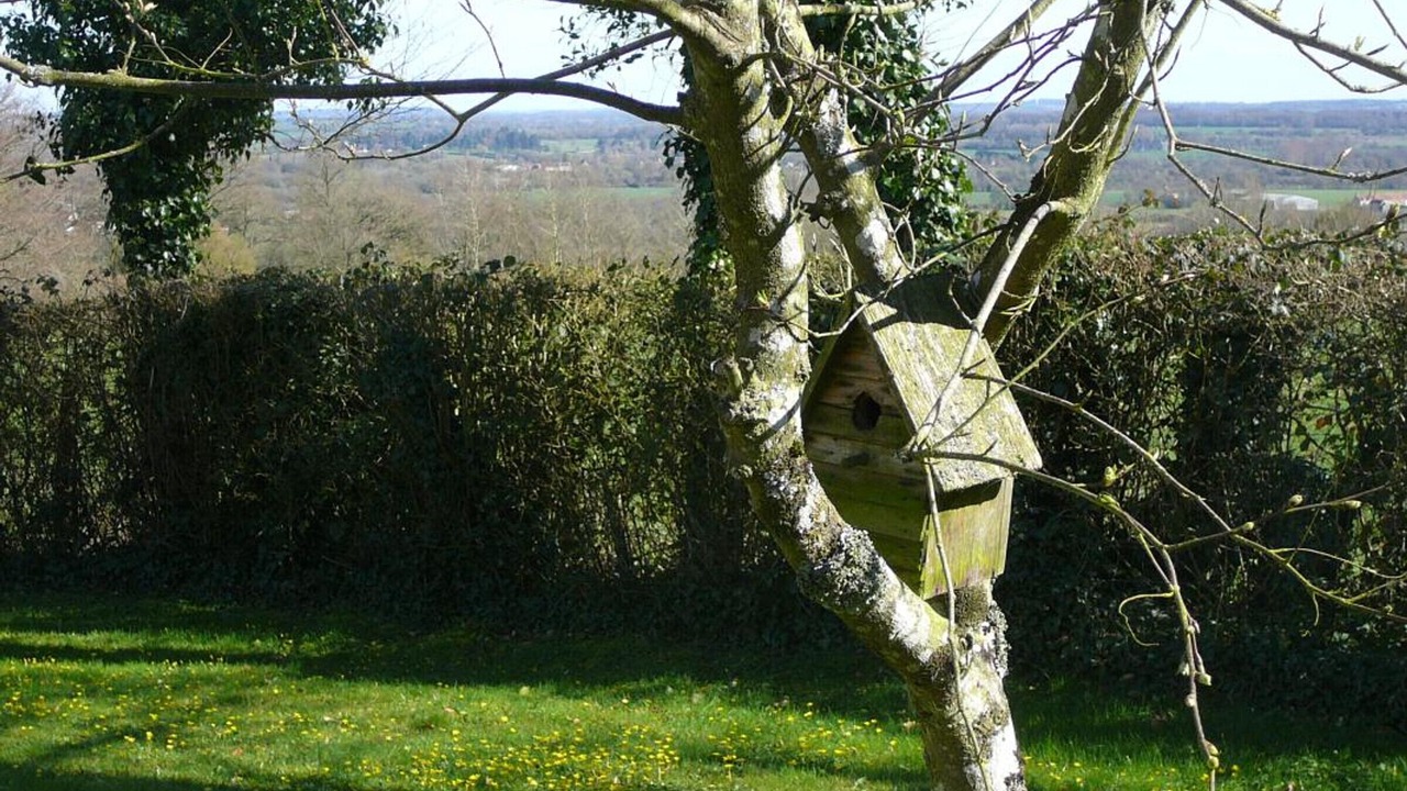 Photo of Outdoor in Chailloue
