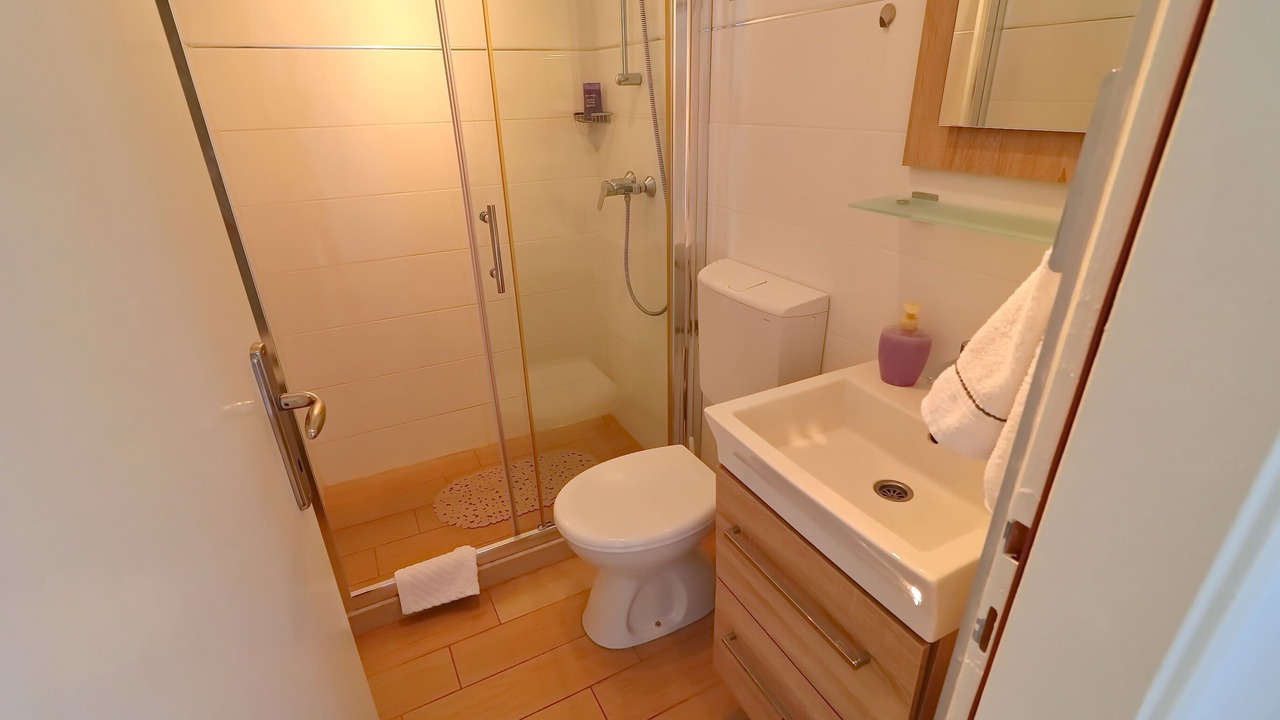 Photo of Bathroom in Zavalatica