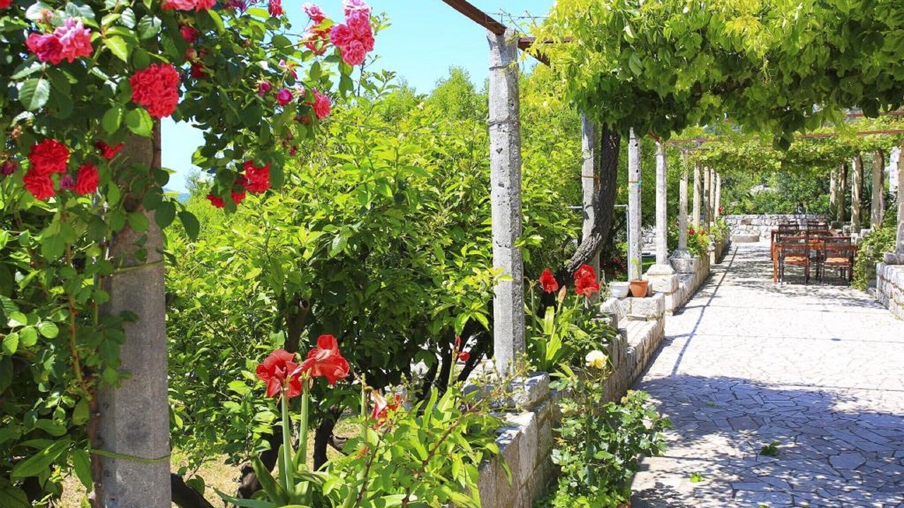Photo of Outdoor in Orasac