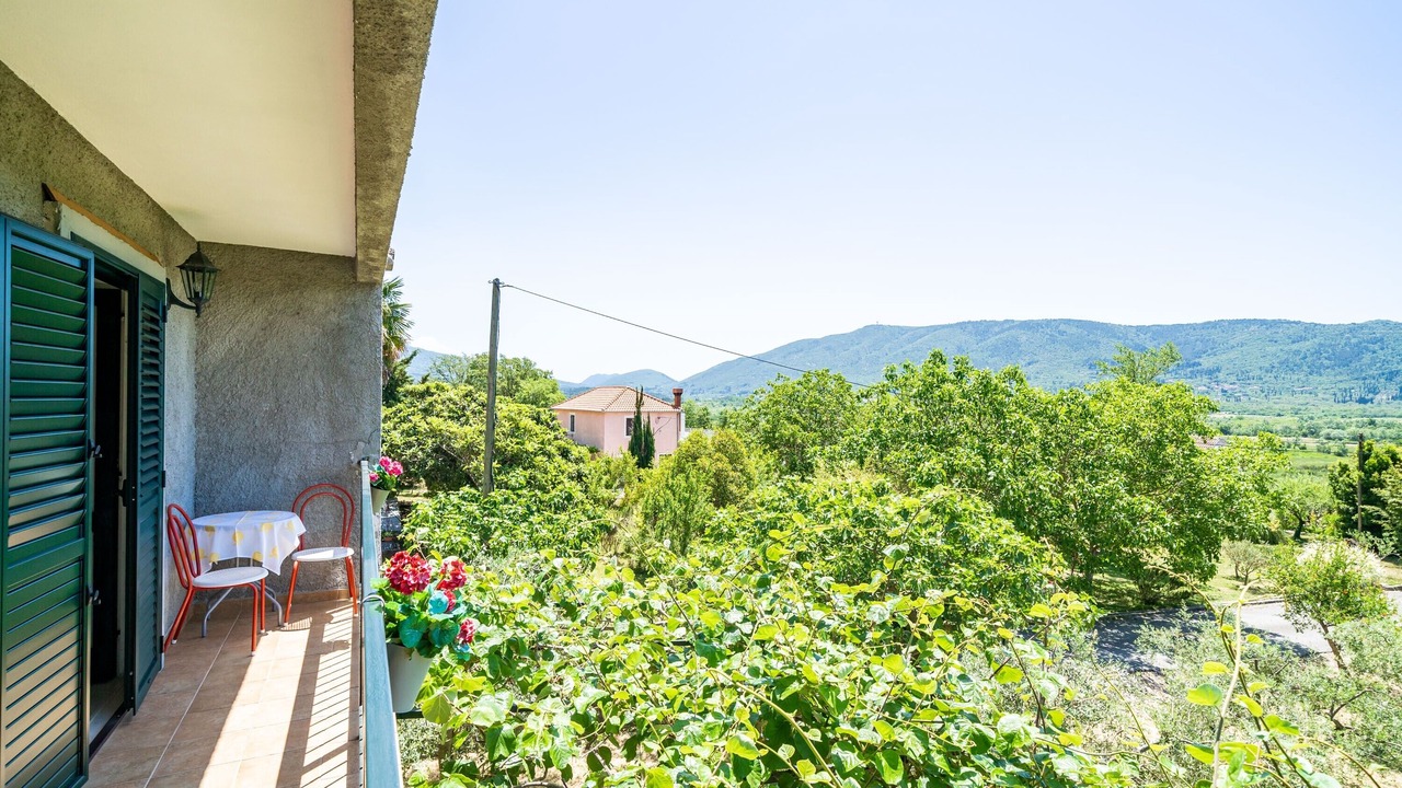 Photo of Outdoor in Lovorno