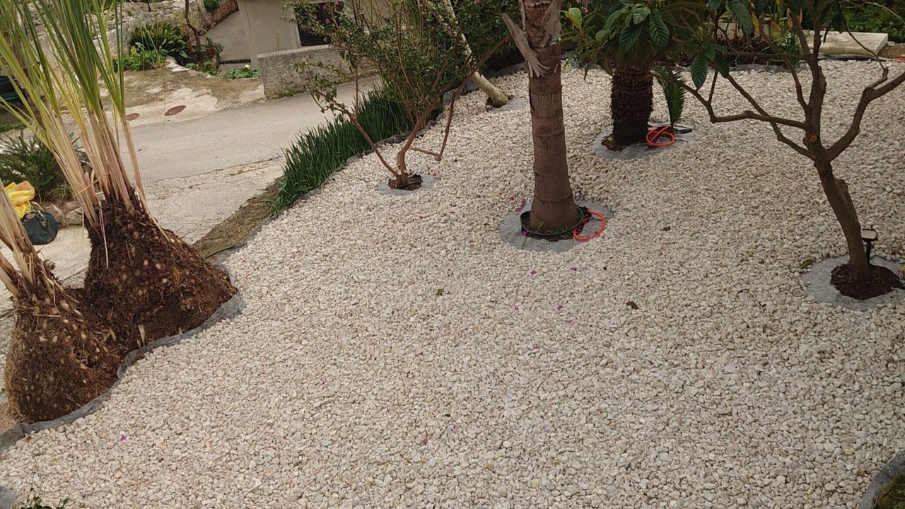 Photo of Others in Molunat