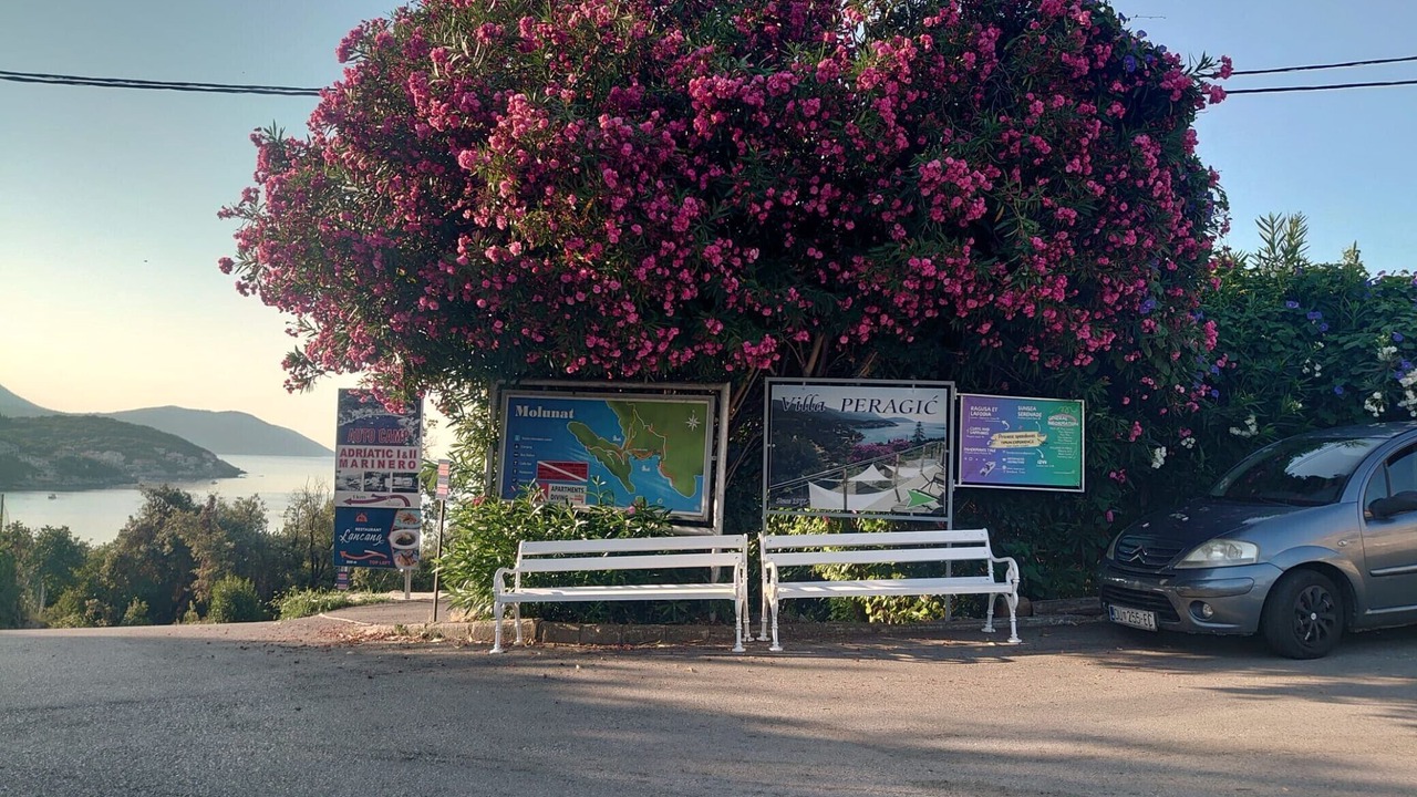 Photo of Others in Molunat