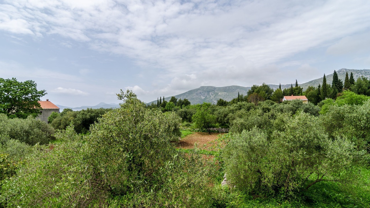 Photo of Outdoor in Banici