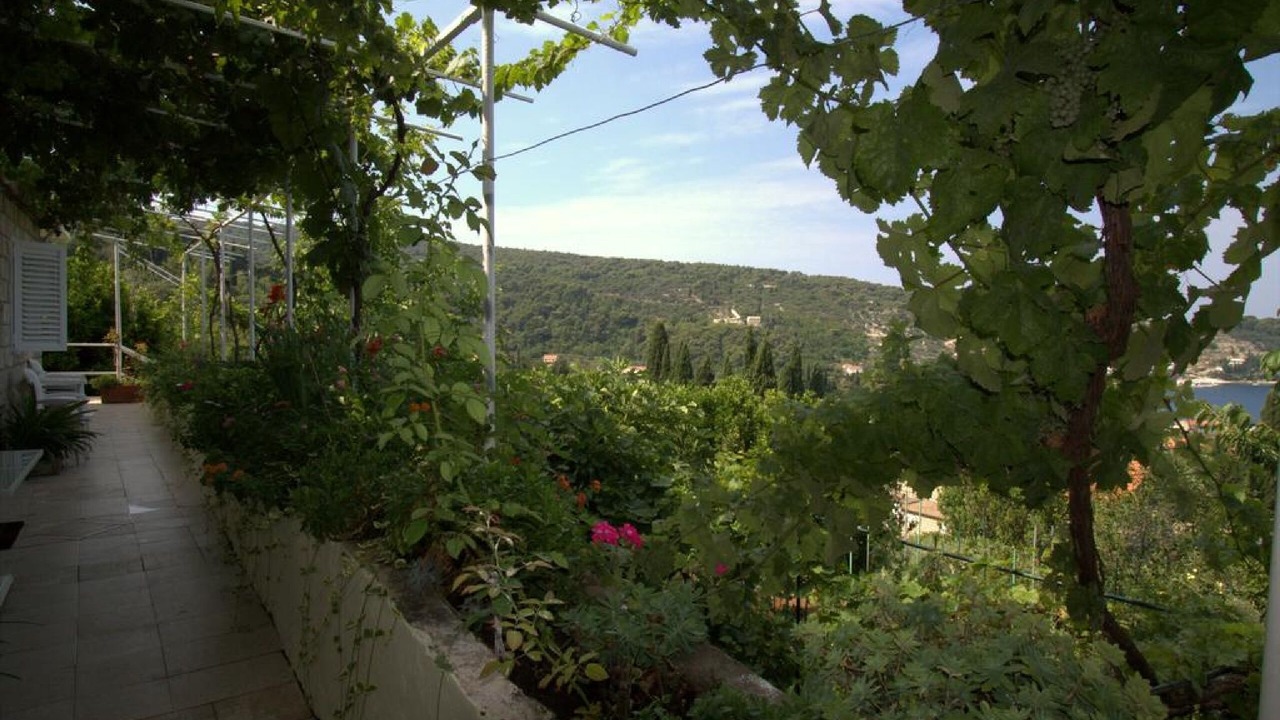 Photo of Outdoor in Lopud Island