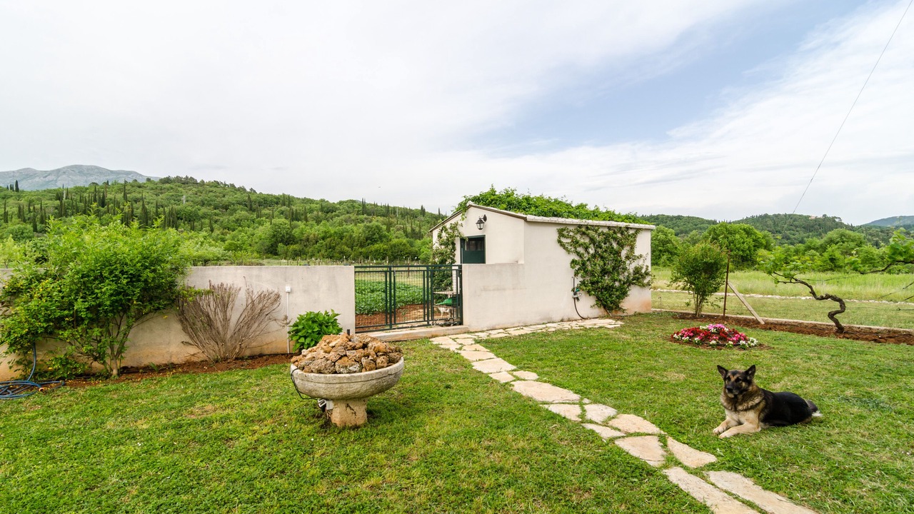 Photo of Outdoor in Popovici