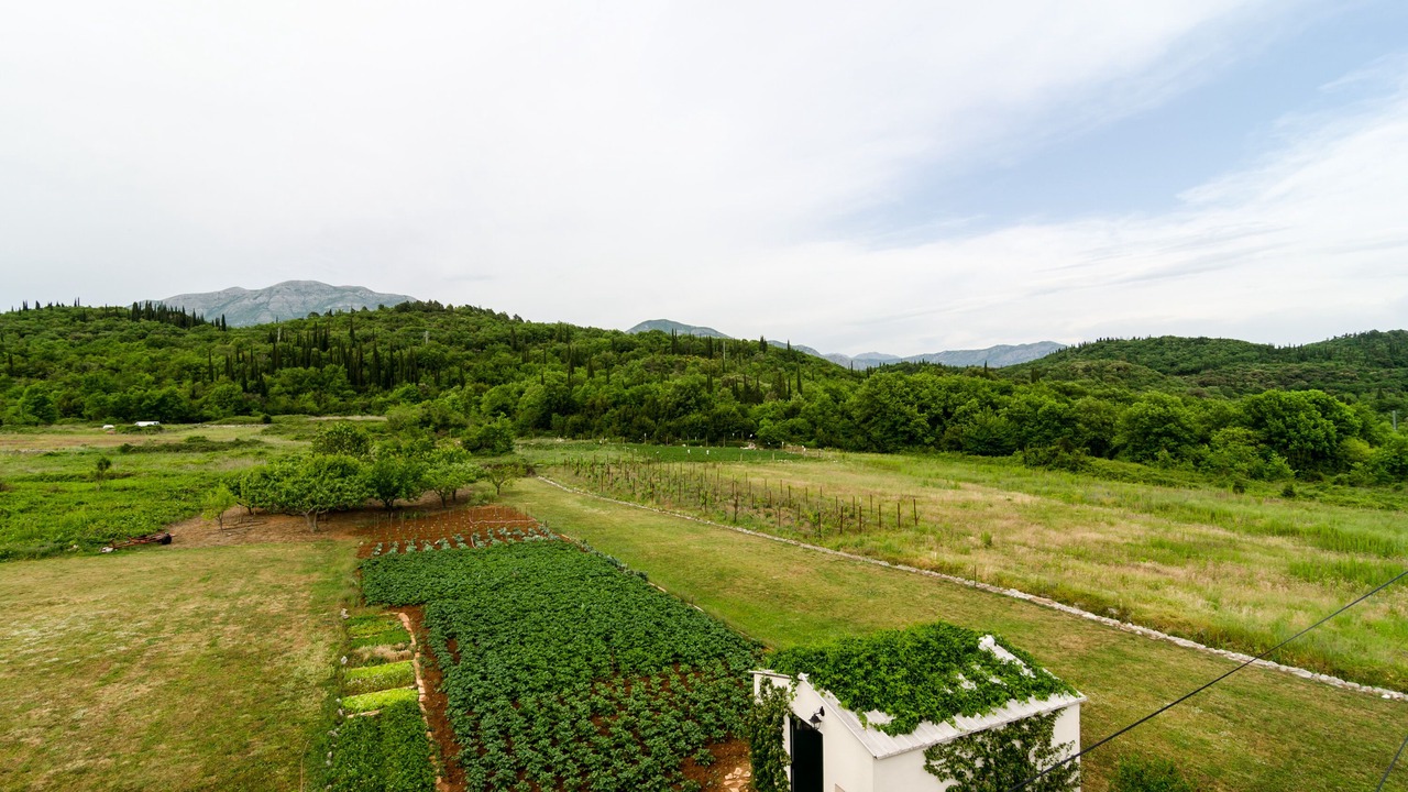Photo of Outdoor in Popovici