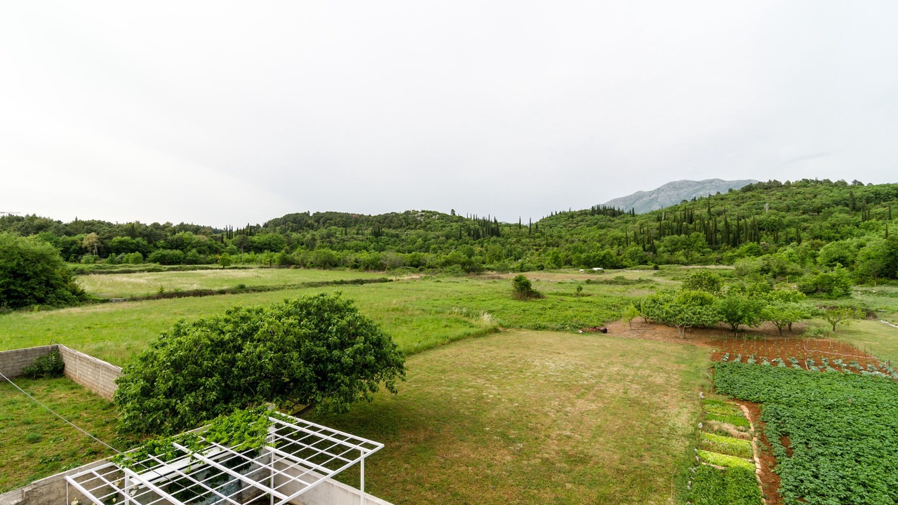 Photo of Outdoor in Popovici
