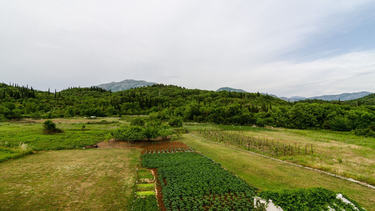Photo of Outdoor in Popovici