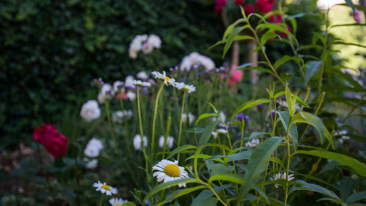 Photo of Outdoor in Plat