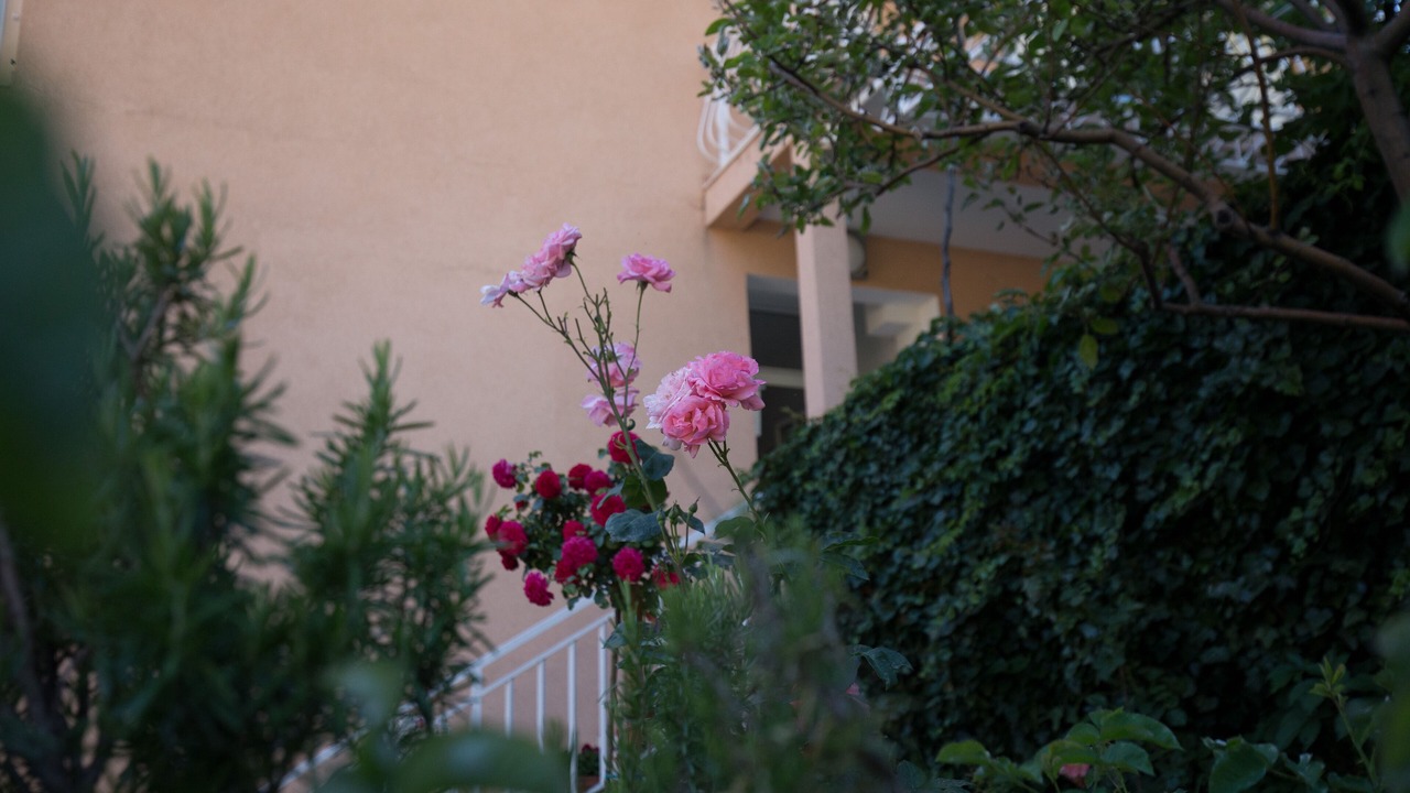 Photo of Outdoor in Plat