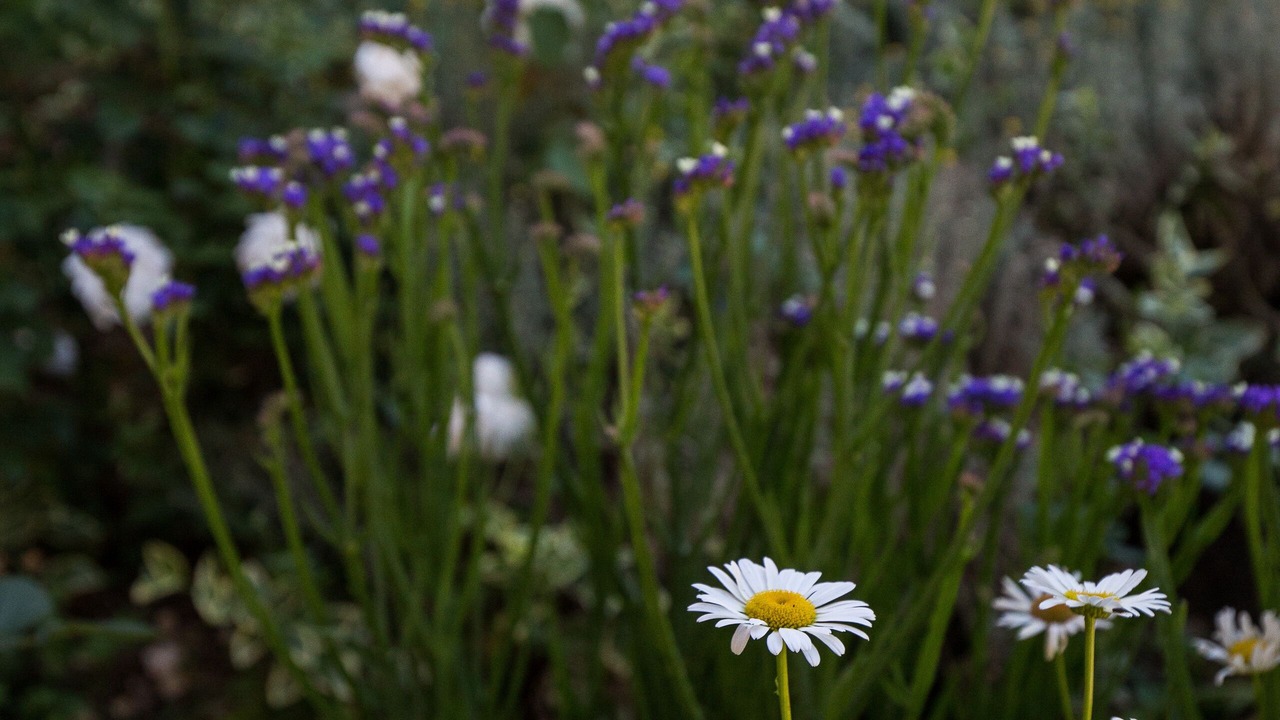 Photo of Outdoor in Plat