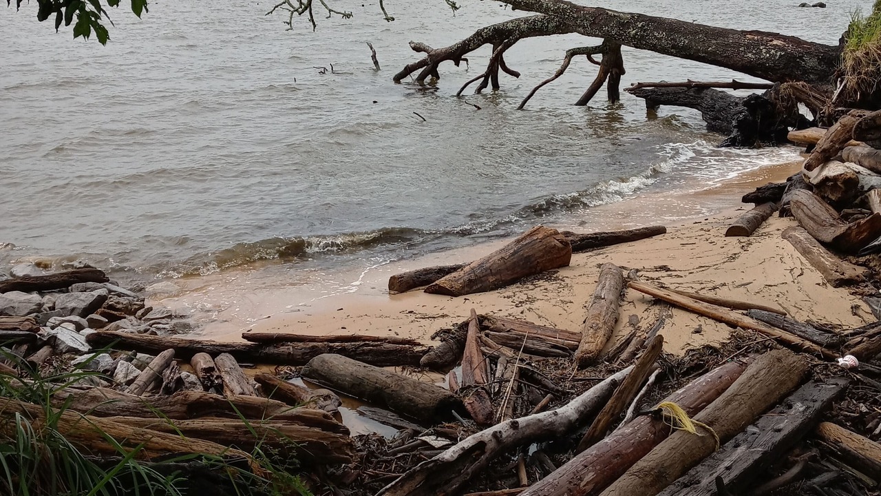 Photo of Others in Driftwood