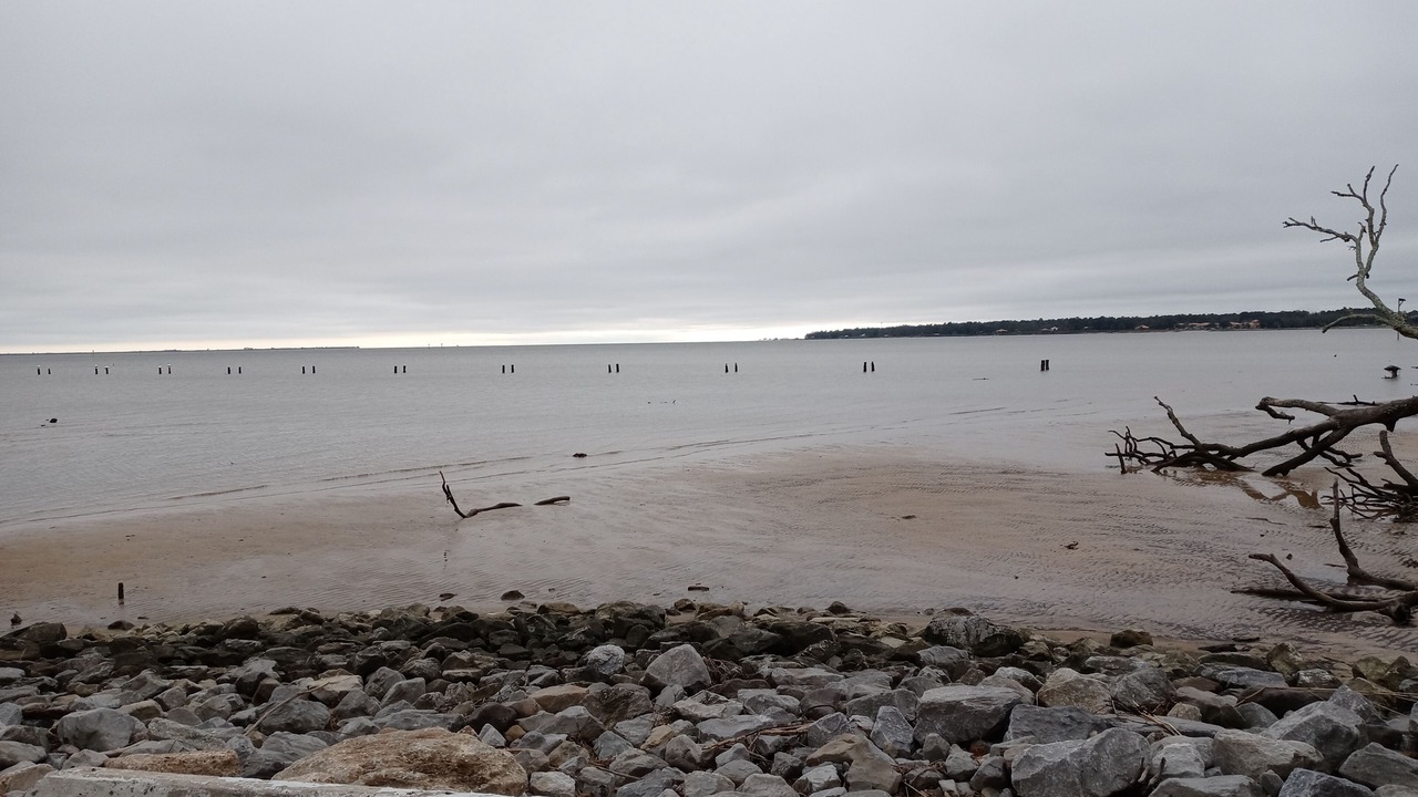 Photo of Others in Driftwood