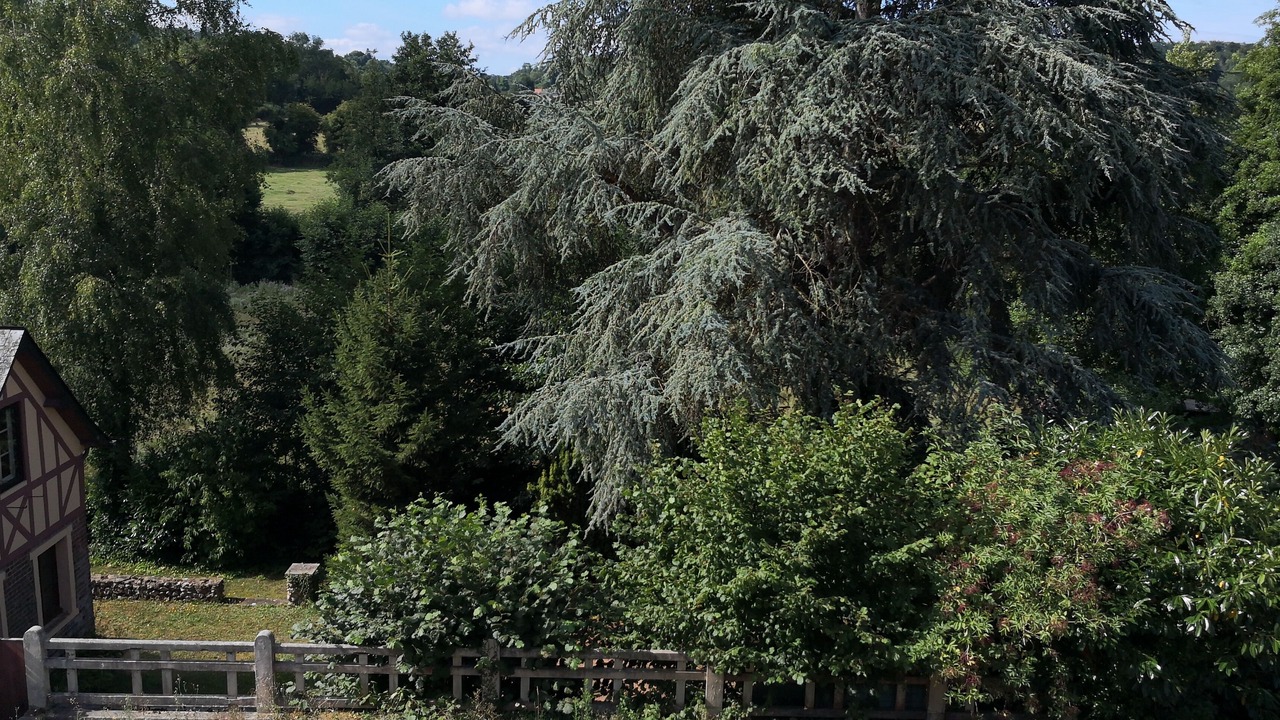 Photo of Outdoor in Saint-Sylvestre-de-Cormeilles