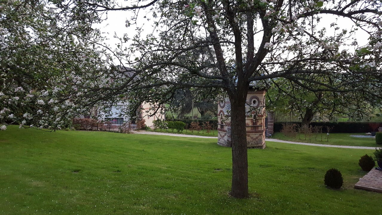 Photo of Outdoor in Saint-Sylvestre-de-Cormeilles