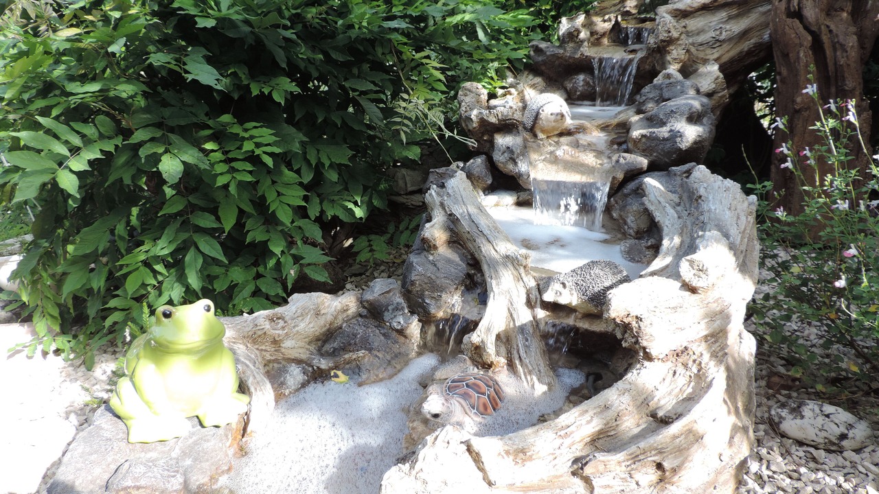 Photo of Outdoor in Saint-Chef