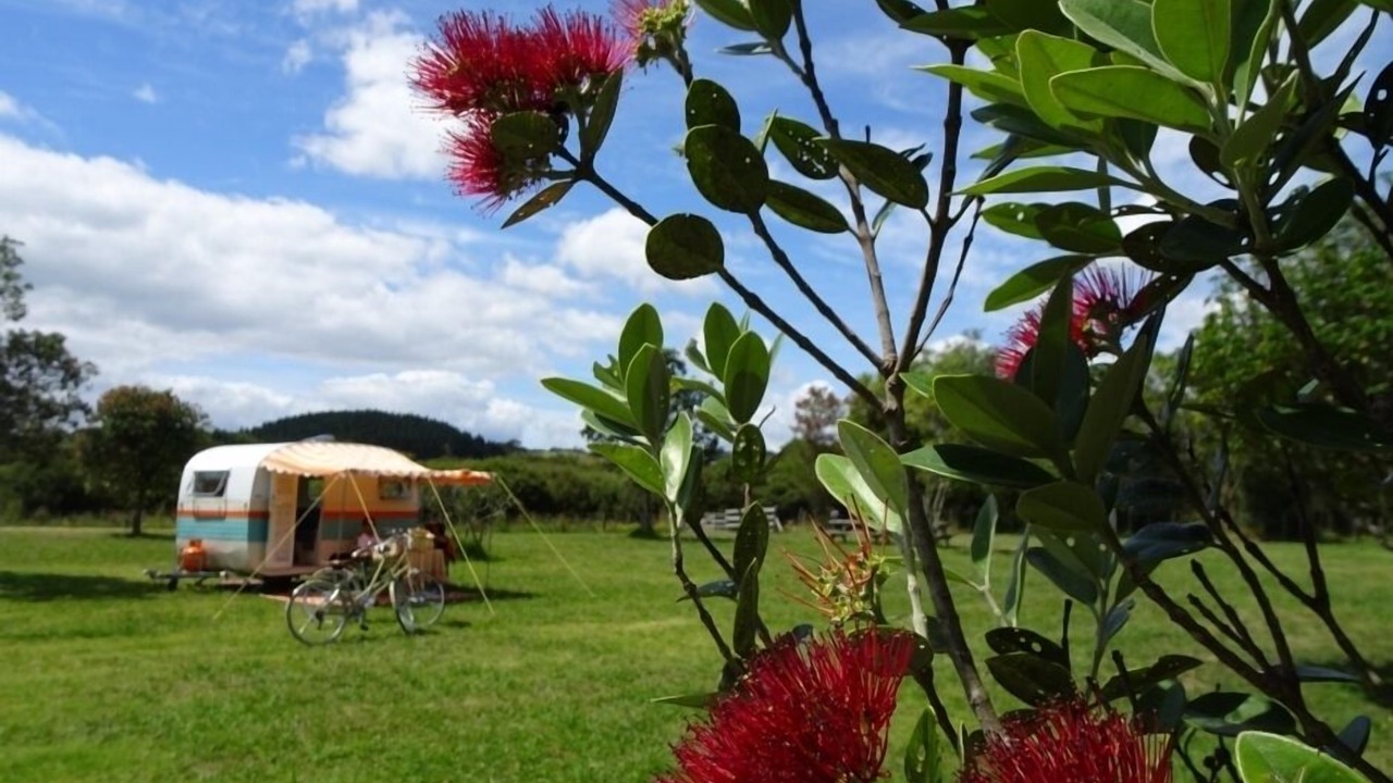 Photo of Others in Beachlands