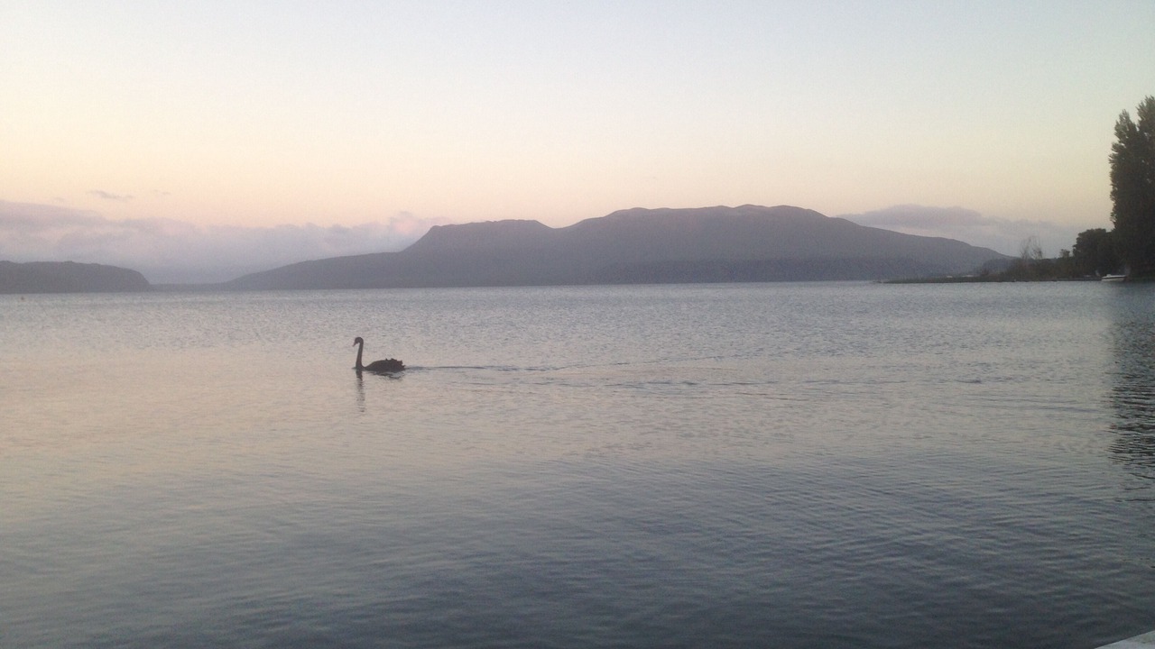 Photo of Others in Lake Tarawera