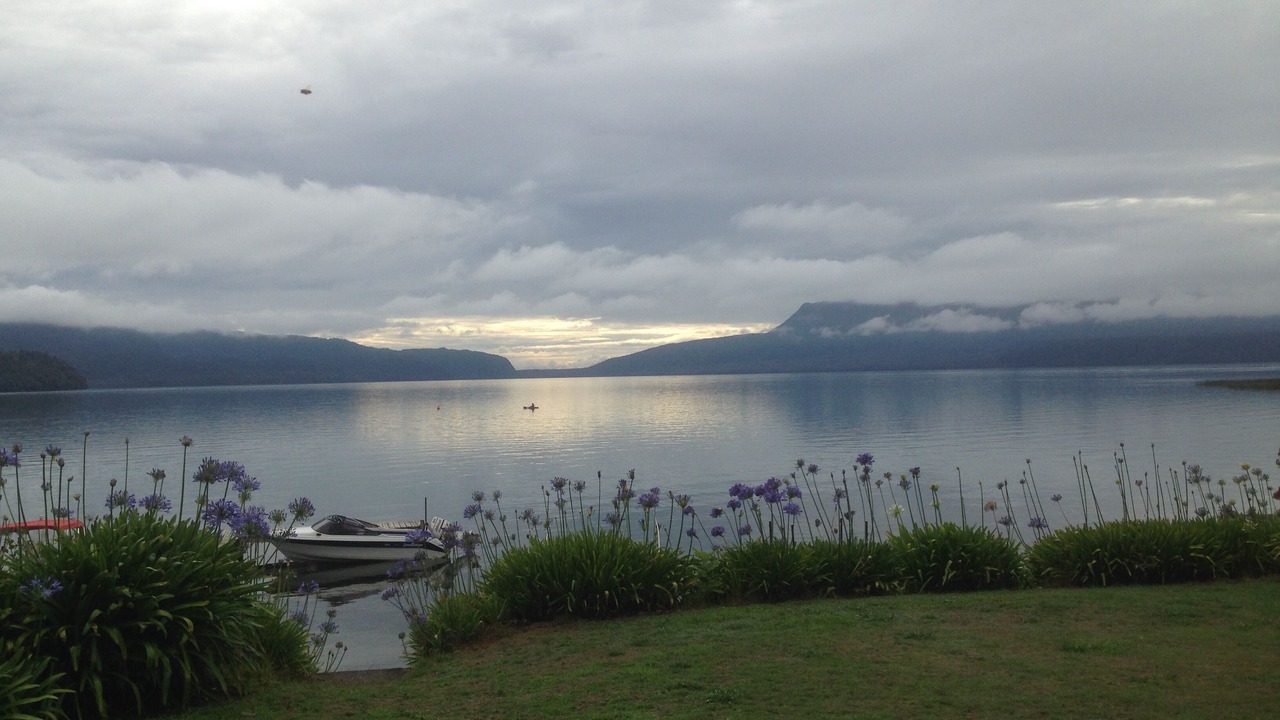Photo of Others in Lake Tarawera