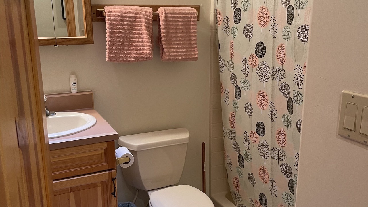 Photo of Bathroom in Springerville
