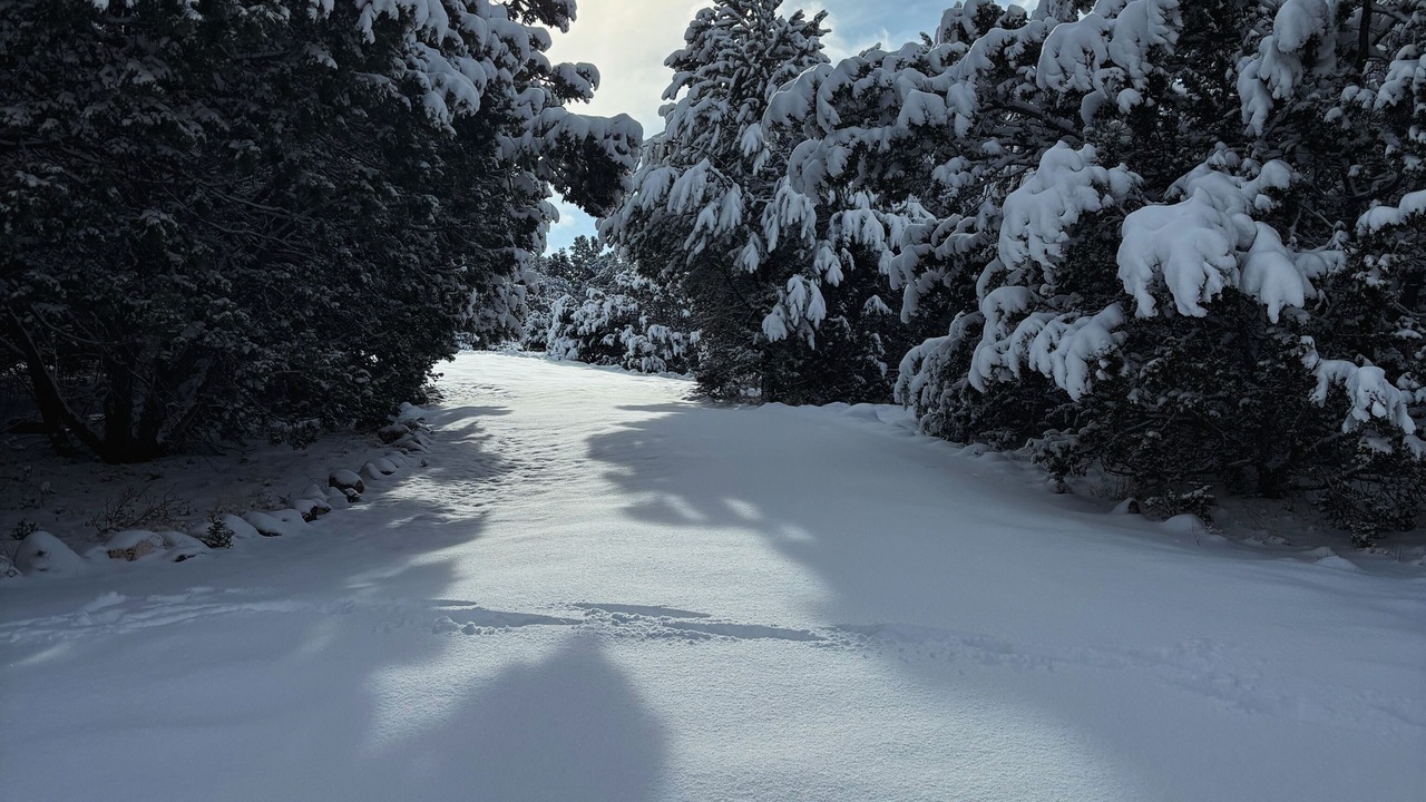Photo of Others in Springerville