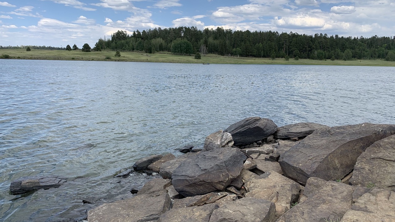 Photo of Outdoor in Springerville