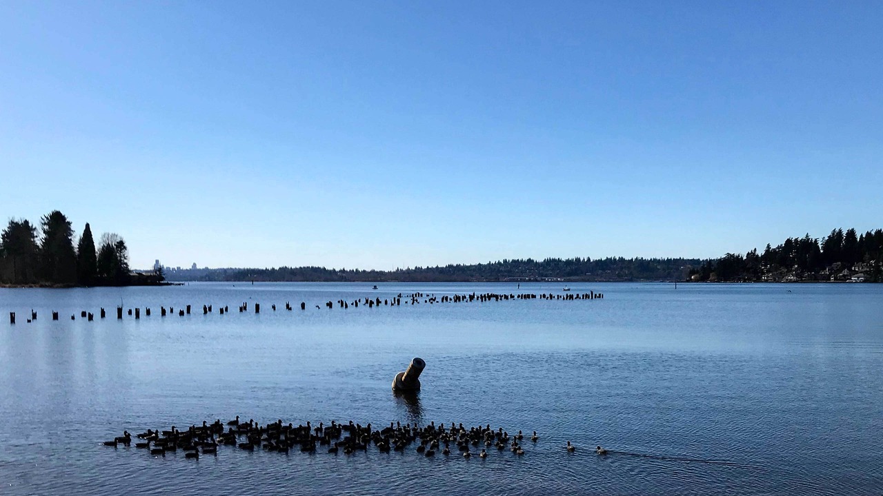 Photo of Others in Kenmore