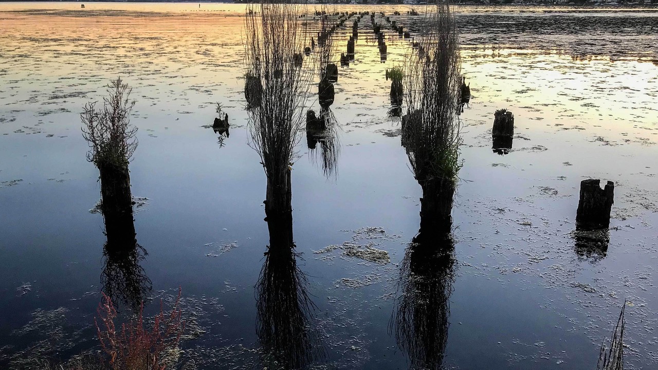 Photo of Outdoor in Kenmore