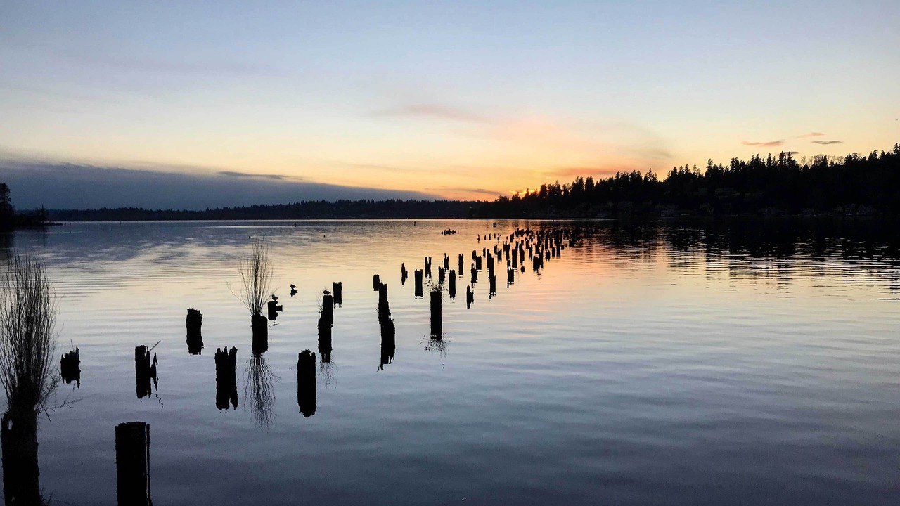 Photo of Others in Kenmore