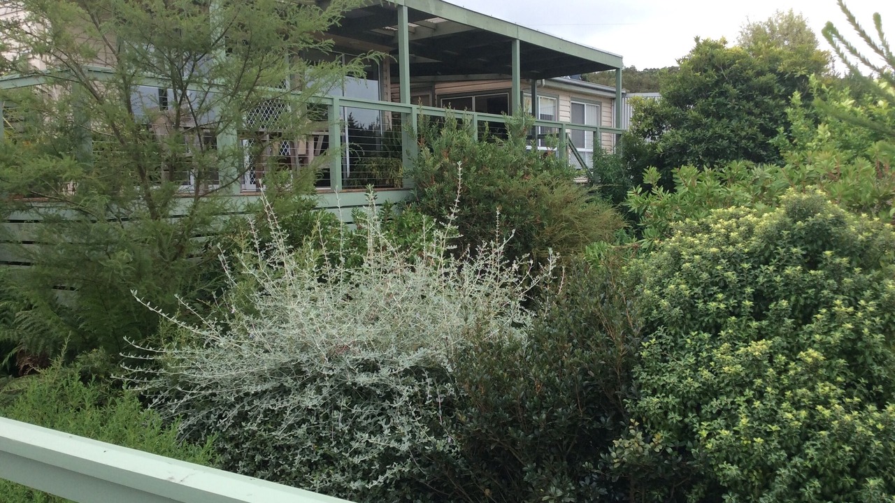 Photo of Outdoor in Forrest