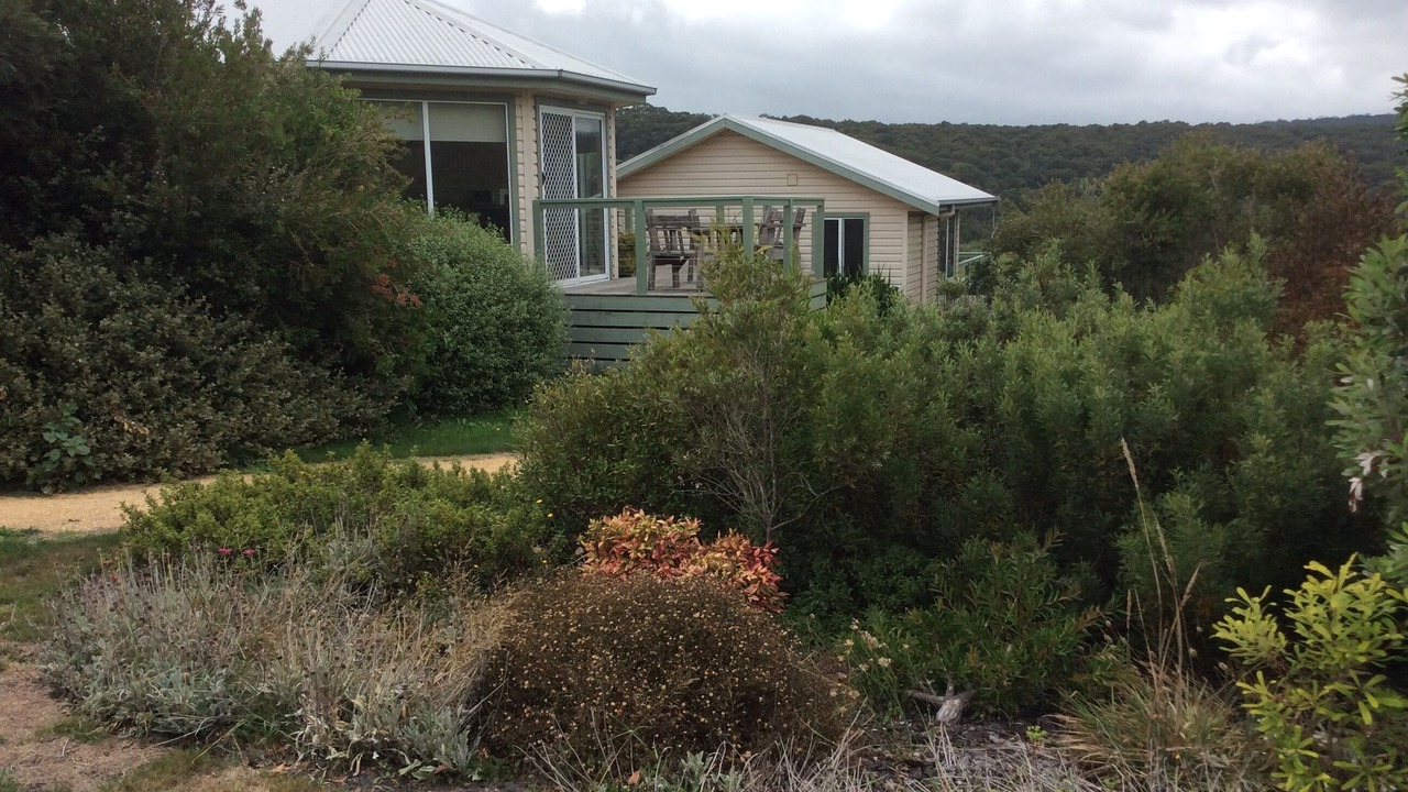 Photo of Patio Balcony in Forrest