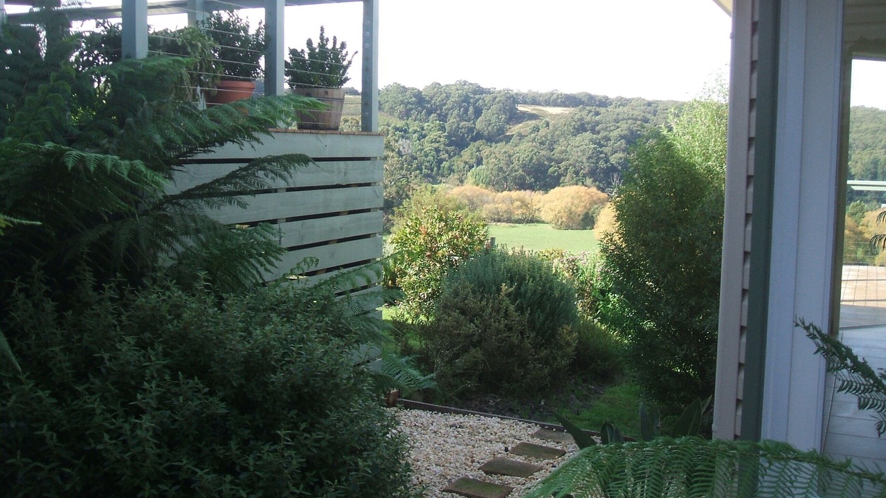 Photo of Outdoor in Forrest