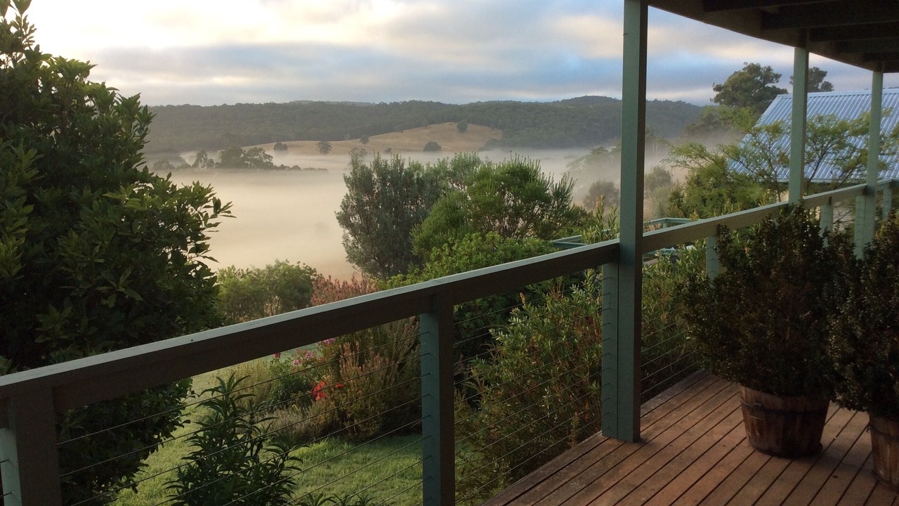 Photo of Outdoor in Forrest