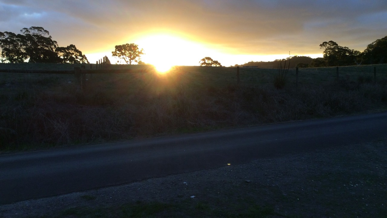 Photo of Outdoor in Forrest