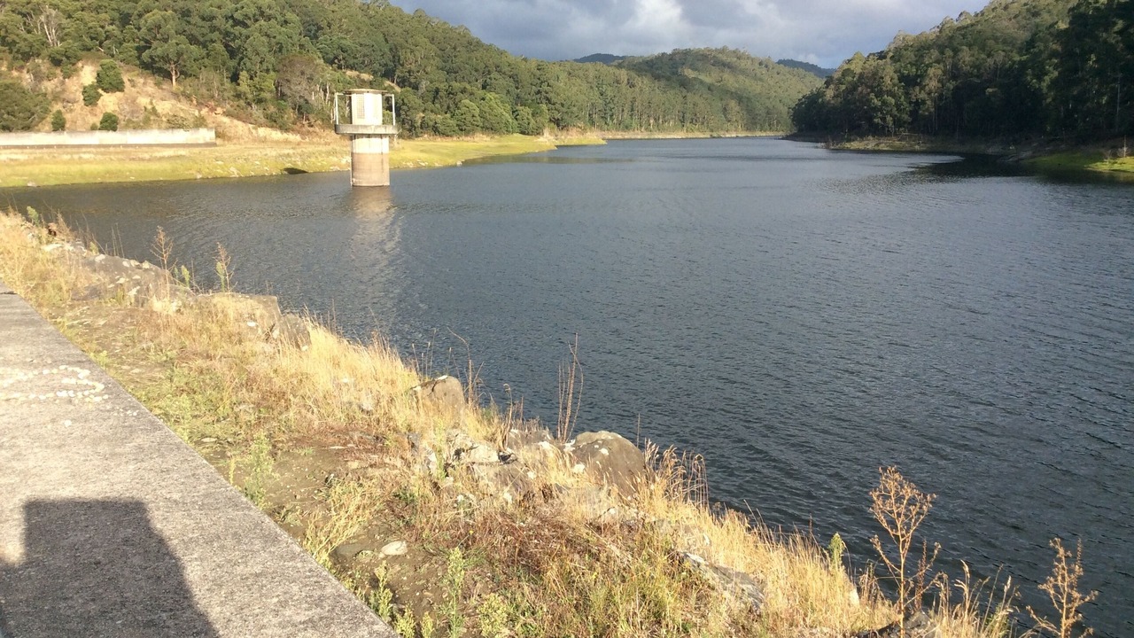 Photo of Others in Forrest