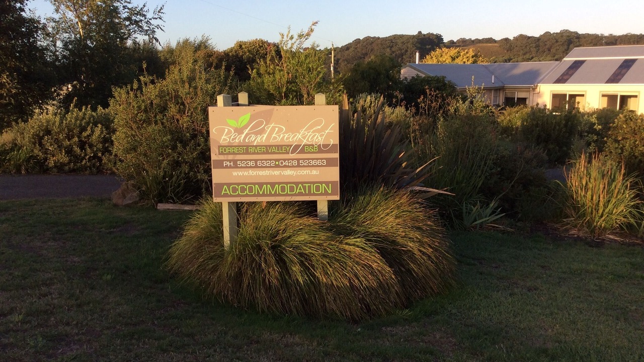 Photo of Outdoor in Forrest