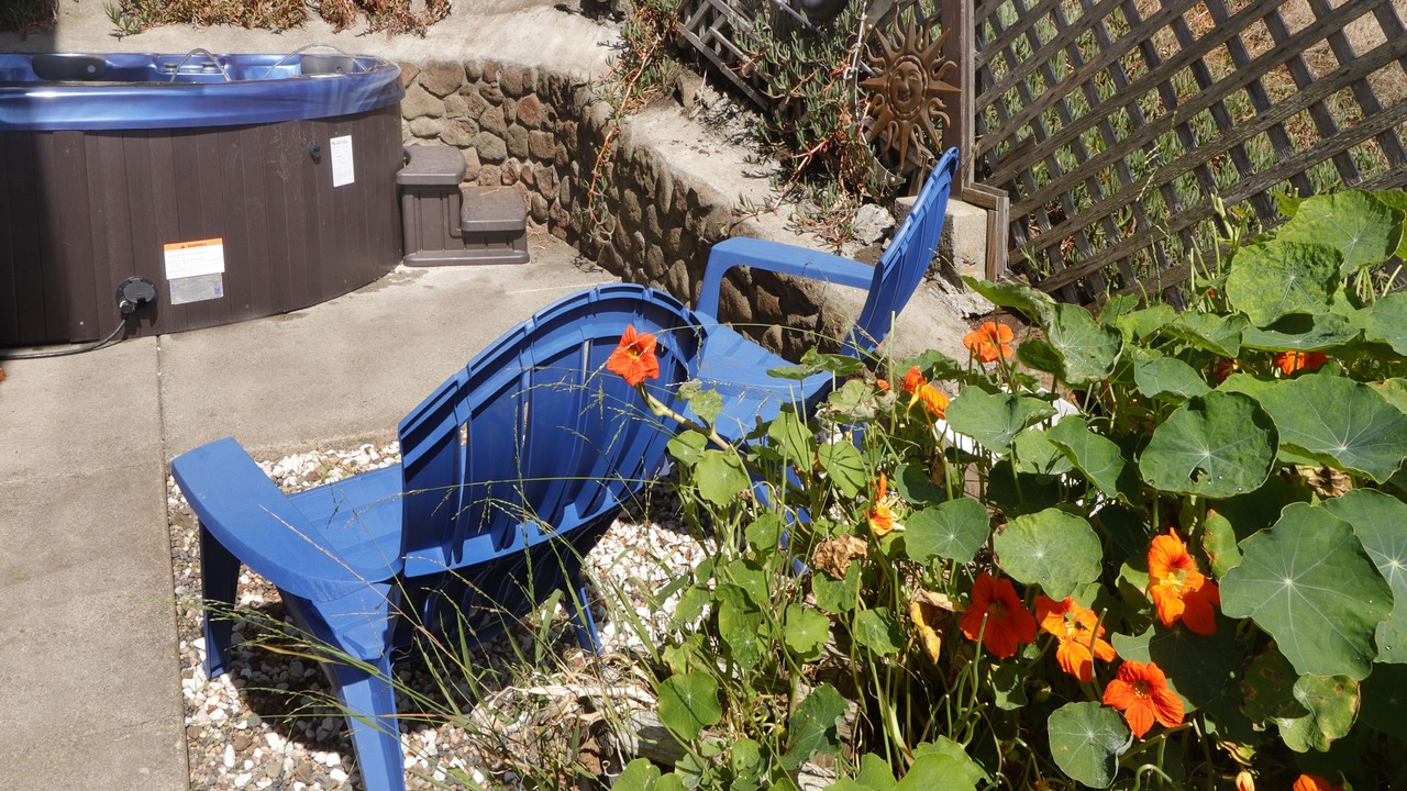 Photo of Outdoor in Dillon Beach