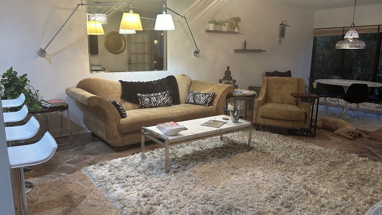 Photo of Livingroom in Central Sarasota