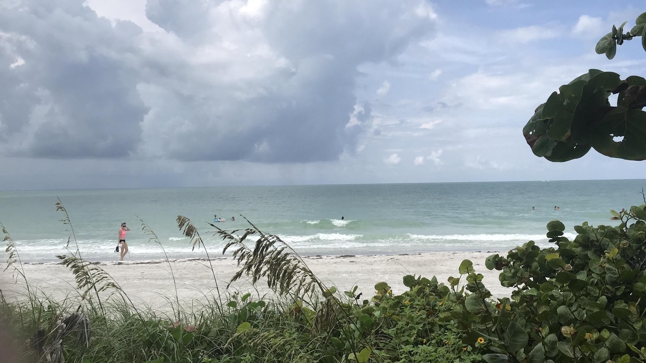 Photo of Others in Central Sarasota