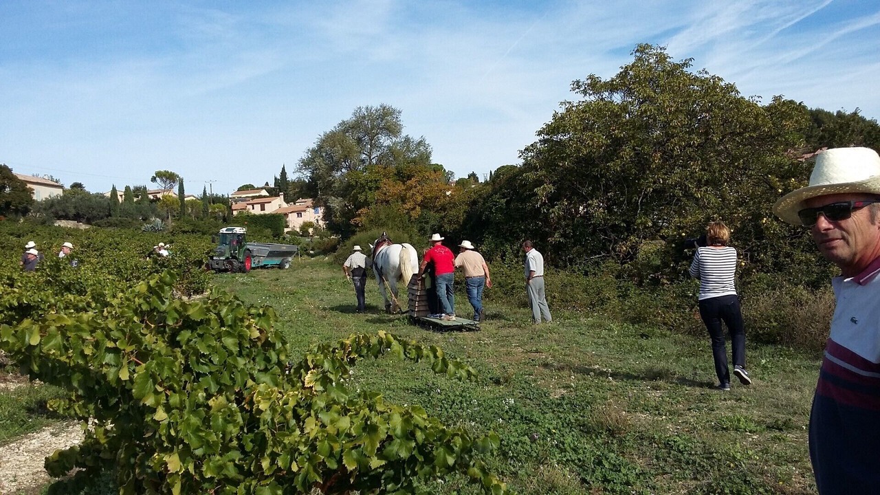 Photo of Others in Vinsobres