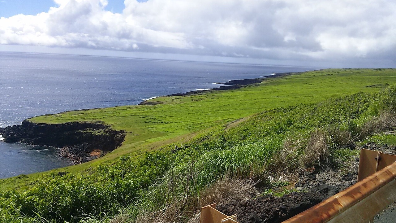 Photo of Others in Ocean View