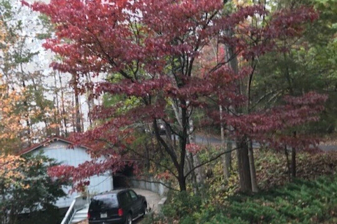 Photo of Outdoor in Lake Lure