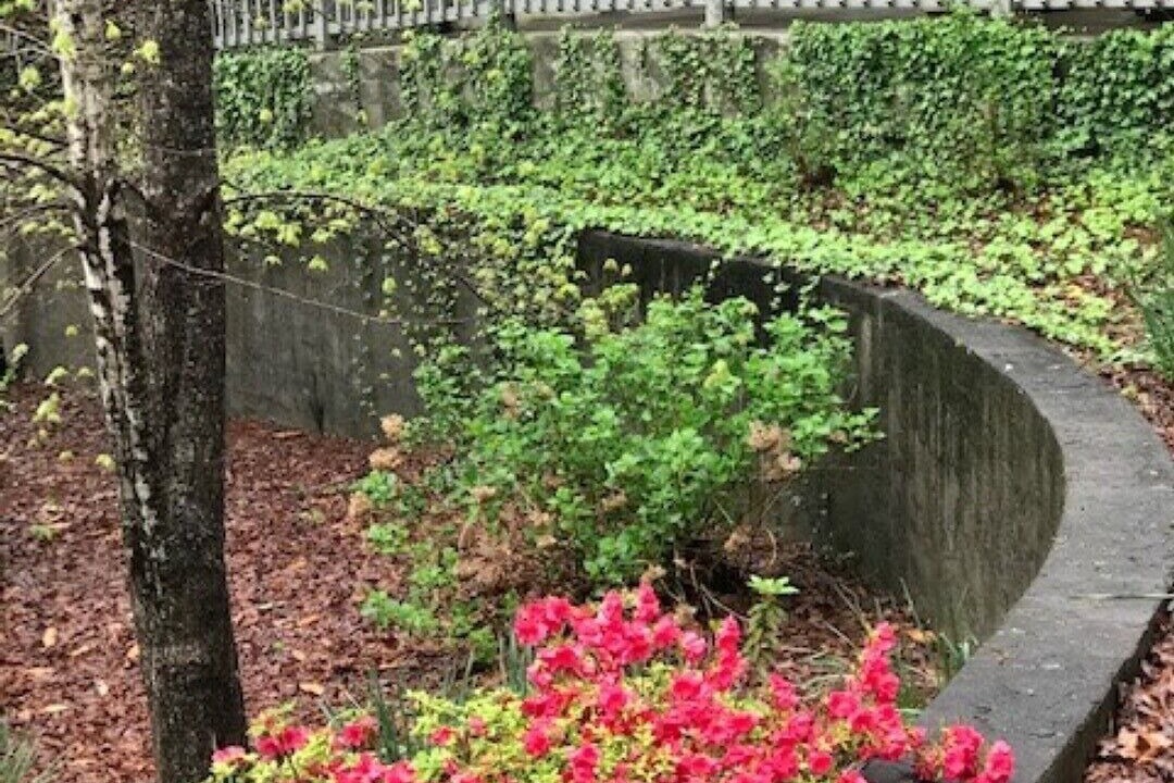 Photo of Outdoor in Lake Lure