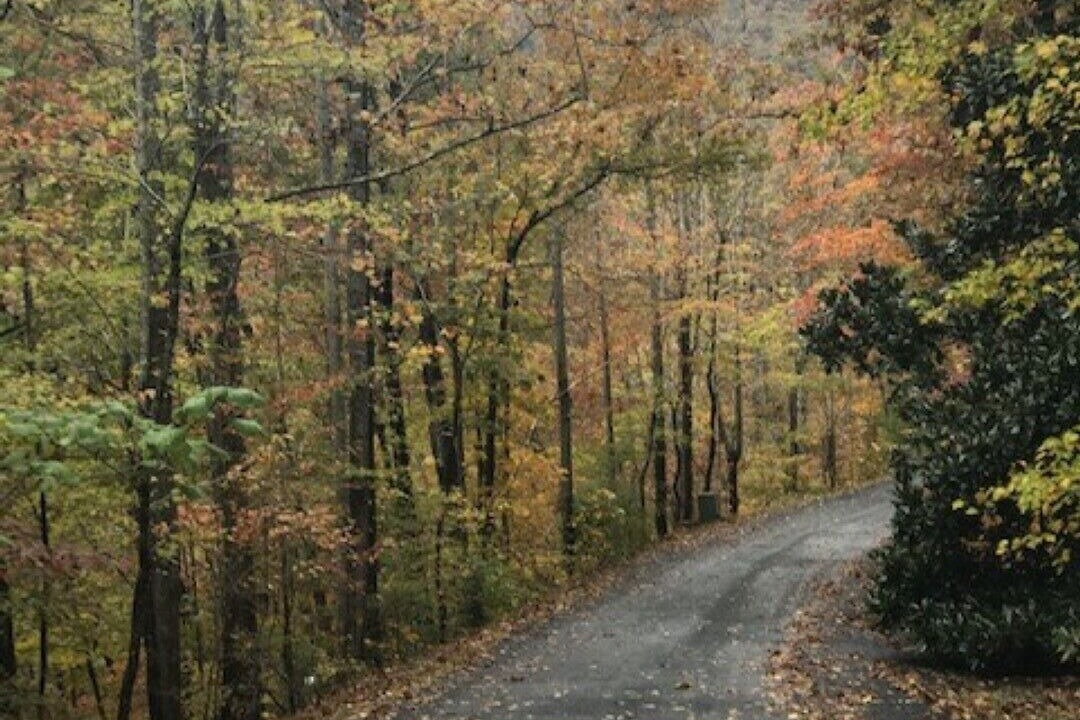 Photo of Outdoor in Lake Lure