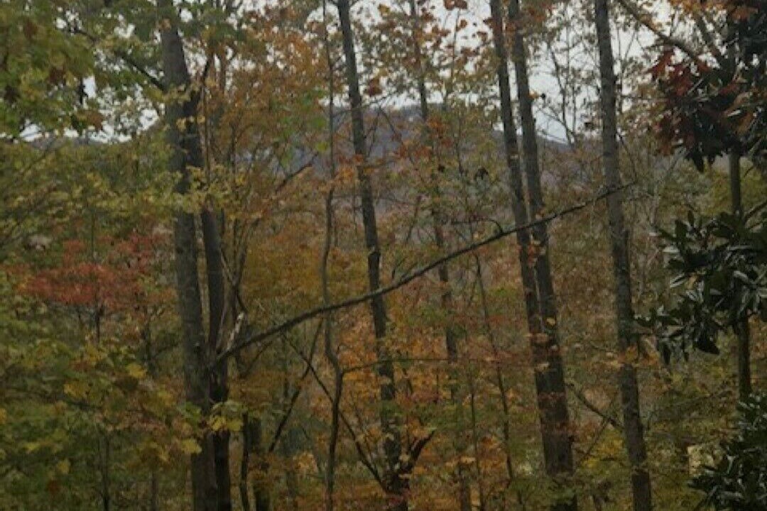 Photo of Outdoor in Lake Lure