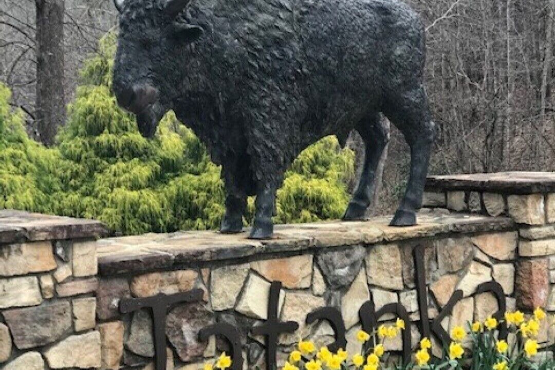 Photo of Outdoor in Lake Lure