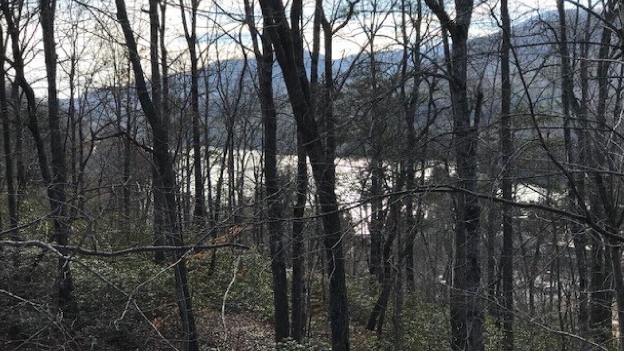 Photo of Outdoor in Lake Lure