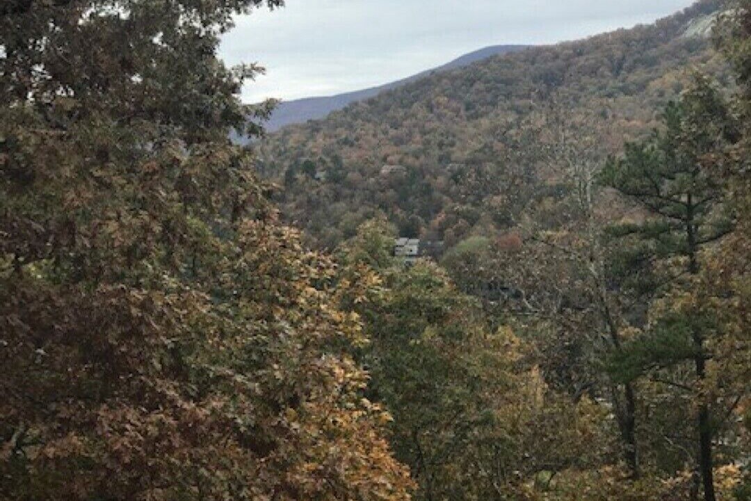 Photo of Outdoor in Lake Lure