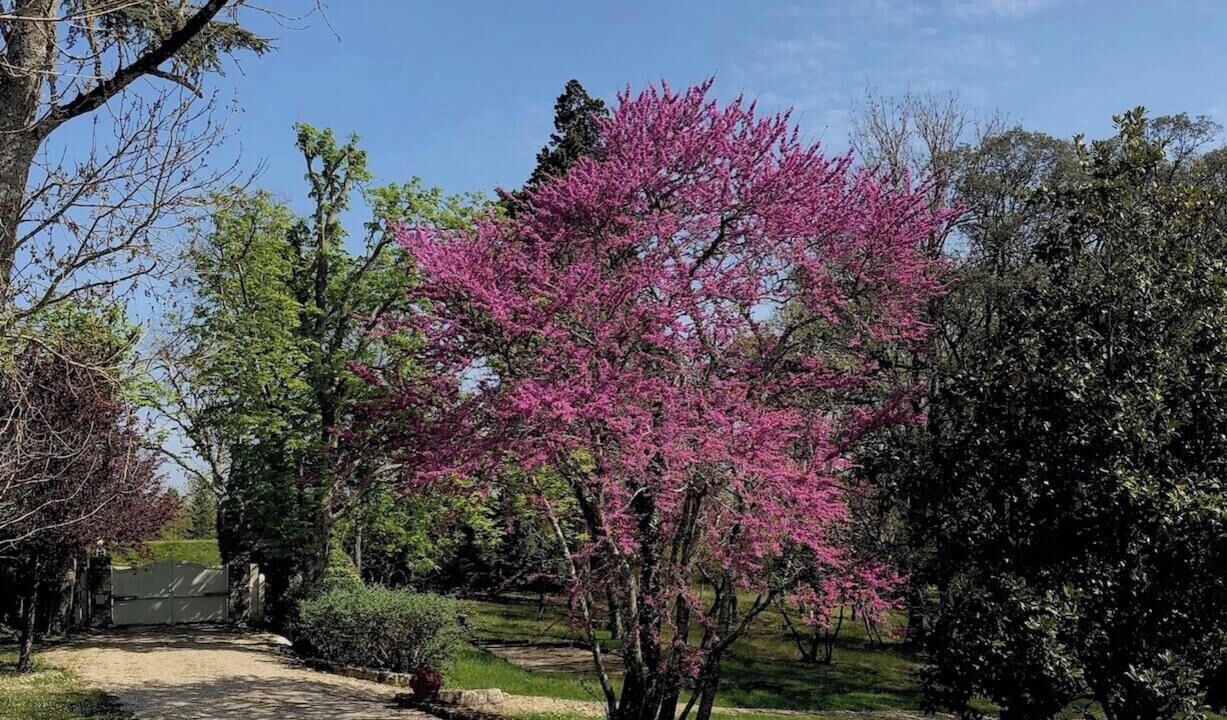 Photo of Outdoor in Saint-Paul-d'Espis